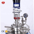 Small High Pressure Lab Reactor Autoclave